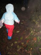 11.11.06 Waukeena Multnomah Falls 033 